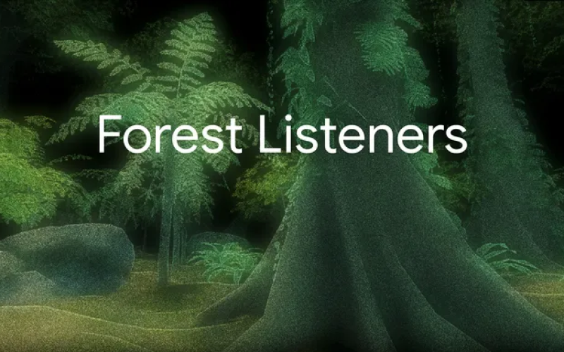A Sinfonia Secreta da Floresta: Como o ‘Forest Listeners’ do Google está Usando a IA para Salvar a Biodiversidade