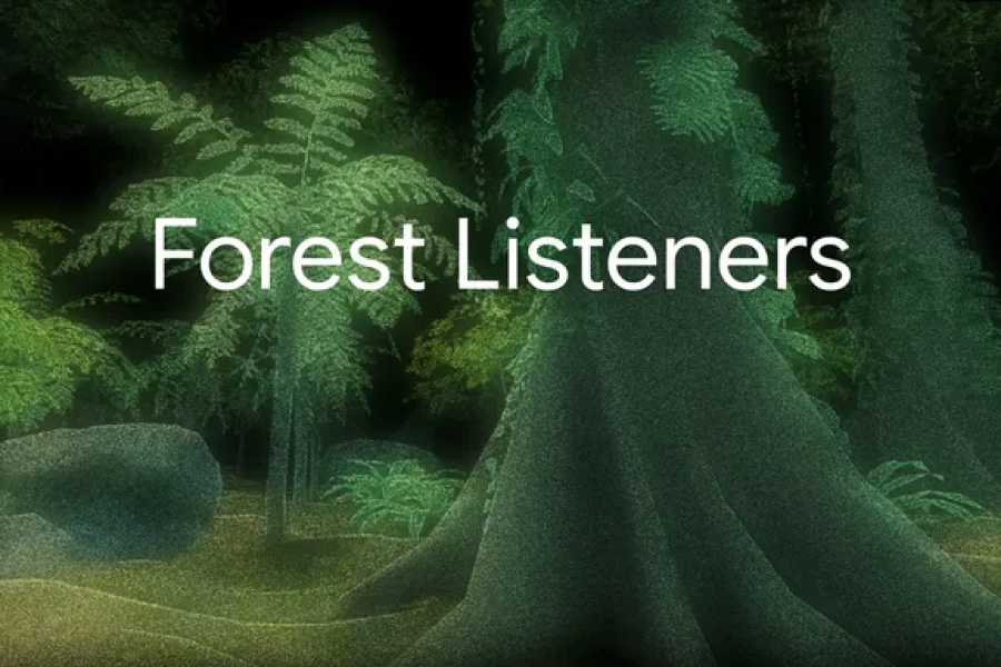 A Sinfonia Secreta da Floresta: Como o ‘Forest Listeners’ do Google está Usando a IA para Salvar a Biodiversidade